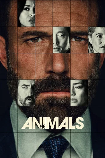 Animals — Posters 1