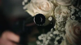 The Florist — Backdrops 5