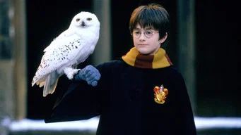 Harry Potter and the Philosopher's Stone — Backdrops 11