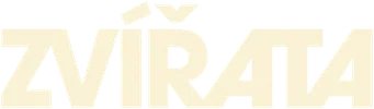 Animals — Title artwork 15